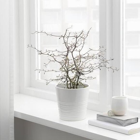 IKEA - MUSKOT Plant Pot = 15cm - Picture 3 of 14